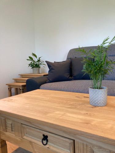 a living room with a couch and a table with a potted plant at Heissgut in Altenmarkt im Pongau
