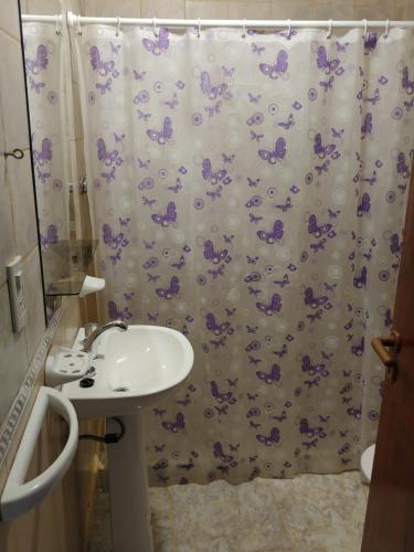 a bathroom with a sink and a shower curtain at Ankara 1 in Las Grutas