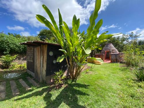 Gallery image of Sítio Monte Alegre in Ibicoara