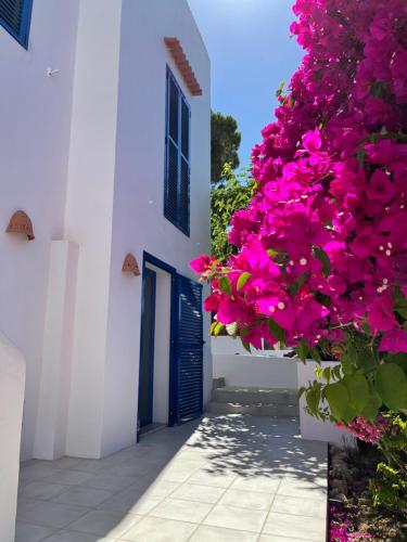 Κήπος έξω από το Es Queixal - Can Canet con piscina exterior climatizada