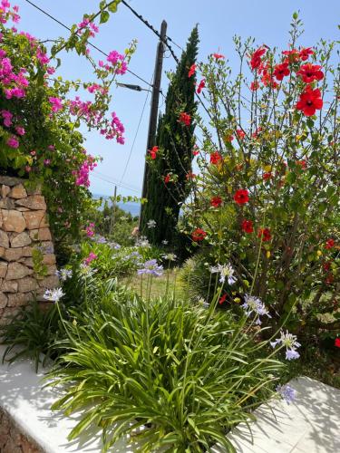Κήπος έξω από το Es Queixal - Can Canet con piscina exterior climatizada