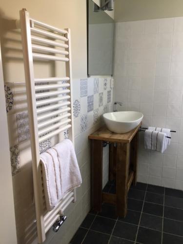 a bathroom with a white sink and a mirror at B&B De Beijersche Stee, Logies aan de Waterkant in Stolwijk