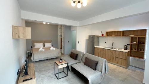 salon z łóżkiem i kanapą oraz kuchnia w obiekcie Antheon Studio w mieście Leukada (miasto)