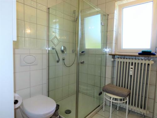 a bathroom with a shower and a toilet at Ferienwohnung Seestraße Ost in Immenstaad am Bodensee