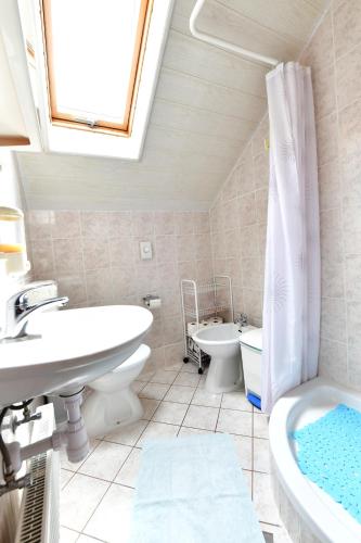 a bathroom with a sink and a tub and a toilet at Guesthouse Ante Hodak in Seliste Dreznicko