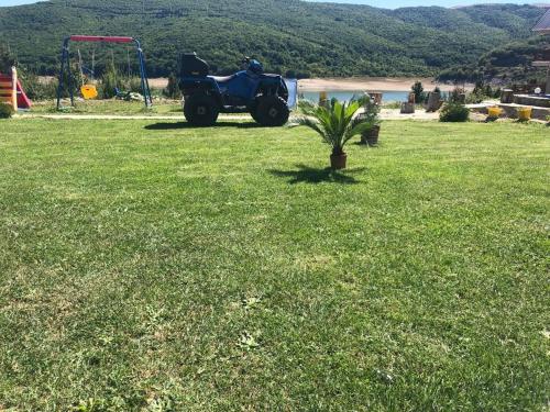 a small palm tree in a field of grass at LUX Villa Mavrovo in Mavrovo