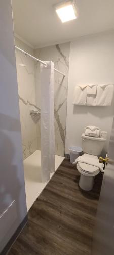 a bathroom with a toilet and a shower at Outer Banks Motor Lodge in Kill Devil Hills