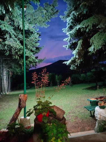 a park with a bench and a picnic table and trees at Vila Jezerski raj Borsko jezero in Bor