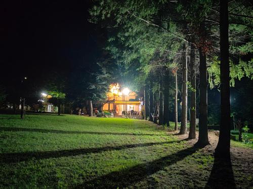 a group of trees in a park at night at Vila Jezerski raj Borsko jezero in Bor