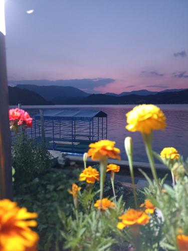 a group of flowers in front of a dock at Apartmani Adi&Ena in Konjic