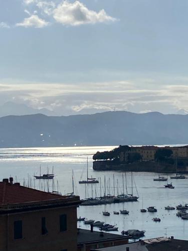 Φυσικό τοπίο κοντά σε αυτό το διαμέρισμα