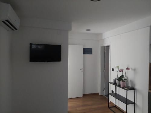 TV a/nebo společenská místnost v ubytování Apartmani Naša priča