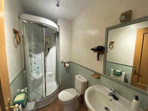 La salle de bains est pourvue d'une douche, de toilettes et d'un lavabo. dans l'établissement APARTAMENTOS MATEO, à Rillo de Gallo
