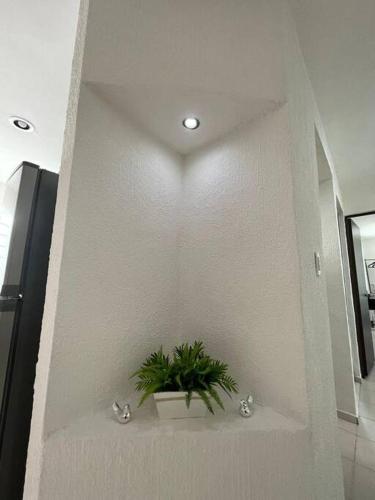 a plant on a wall with a heart on it at Casa en Puesta del Sol/Excelente Ubicación/2 Hab/Wifi/Netflix/Super comoda in Mérida