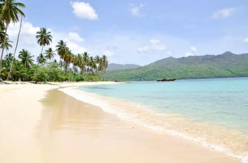 a beach with palm trees and the ocean at Vista Mare Samana Amazing Views!! in Santa Bárbara de Samaná
