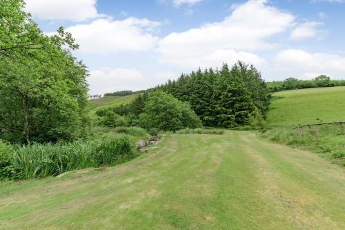 a dirt road in the middle of a green field at Groes Heol in Machynlleth