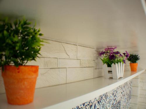 three potted plants sitting on a white shelf at Piazza Mendoza in Mendoza