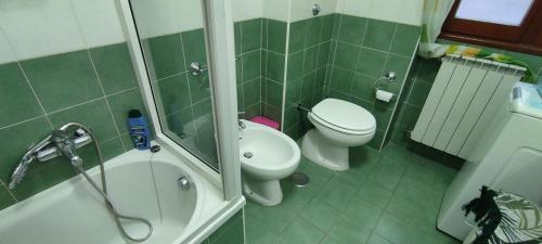 a green bathroom with a toilet and a shower at Casa OASI in Formia