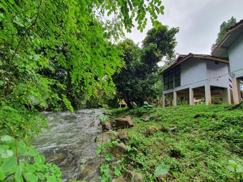 a river next to a house next to a house at Malulee KhaoSok Resort in Khao Sok