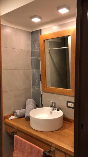 uma casa de banho com um lavatório e um espelho em Andorra Sur em Ushuaia