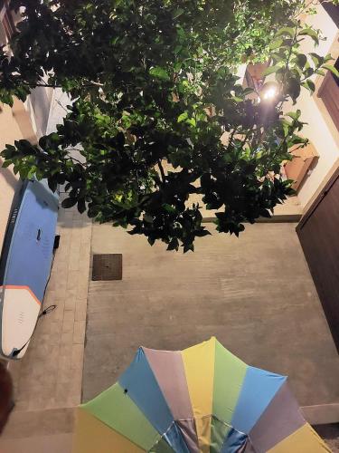 a colorful umbrella sitting on the ground next to a tree at Terrazzo il Limone in Punta Secca
