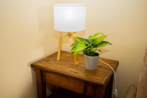 a table with a lamp and a plant on it at Piazza Mendoza in Mendoza