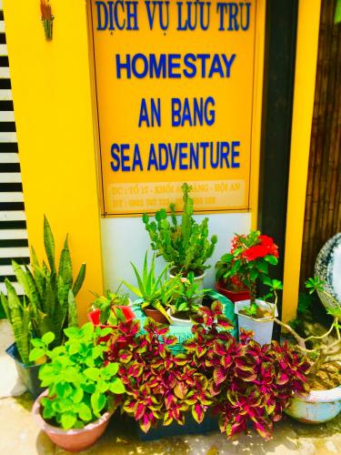 a group of potted plants in front of a sign at An Bang Sea Adventure Homestay Hoi An in Hoi An