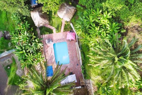 Zahrada ubytování Fincasa del Mar-La Casa del Arbol