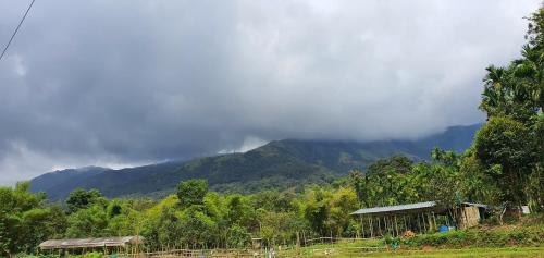 Gallery image of Klov Resort & Spa in Wayanad