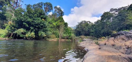 a river with trees and rocks in the water at Klov Resort & Spa in Wayanad