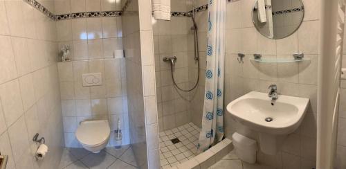 a bathroom with a shower and a toilet and a sink at "Ferienhof Alte Mühle" W 2 in Bannesdorf