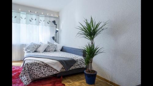 sypialnia z łóżkiem i doniczką w obiekcie Loft w Zurychu