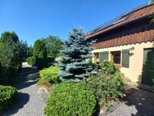 a christmas tree in a garden next to a house at Avalon Połchowo in Kamień Pomorski