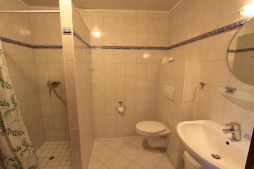 y baño con ducha, aseo y lavamanos. en "Ferienhof Alte Mühle" W 4, en Bannesdorf