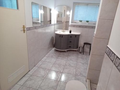 a bathroom with a sink and a mirror at domek u Kazi in Sadowne
