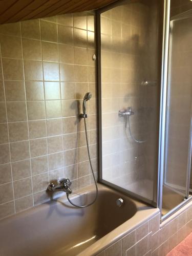 Ένα μπάνιο στο Ferienwohnung Mayr