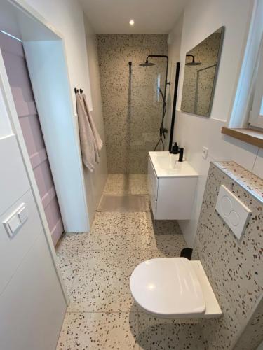 ein Bad mit einem WC, einem Waschbecken und einer Dusche in der Unterkunft ‘t Hoekje 49 in Biggekerke