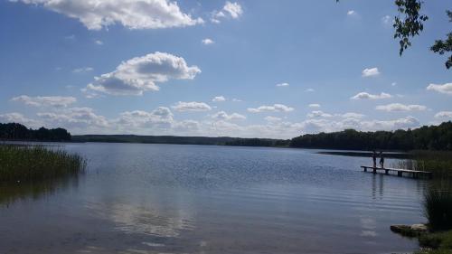 a person standing on a dock on a lake at Ferienwohnung am Sternhagener See in Lindenhagen