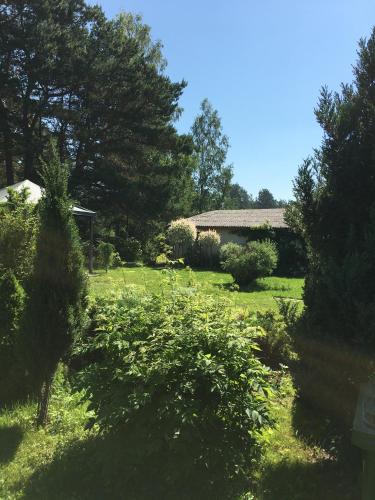 a yard with a house and some bushes and trees at Monikas in Lapmežciems