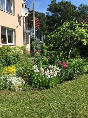 a garden of flowers in front of a house at Monikas in Lapmežciems