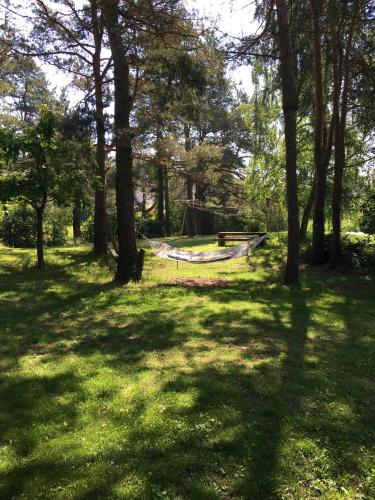 a hammock in the middle of a park with trees at Monikas in Lapmežciems