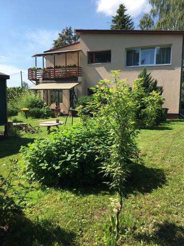 a small bush in front of a house at Monikas in Lapmežciems