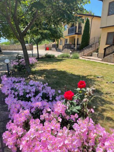 ein Strauß rosa und lila Blumen in einem Garten in der Unterkunft Complex Terazini in Byala