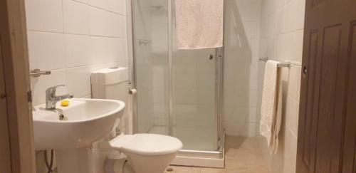 a bathroom with a toilet and a sink and a shower at JNSi Appartments in Honiara