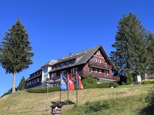 a building on a hill with flags in front of it at Hotel Diana in Feldberg
