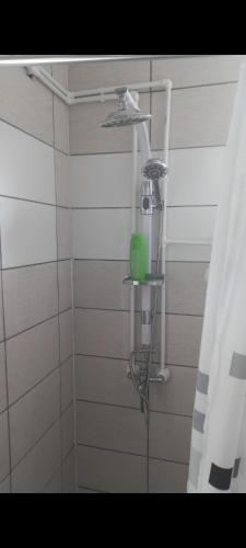 een badkamer met een douche met een groen voorwerp op een plank bij Apartman LJILJANA BELA CRKVA in Bela Crkva