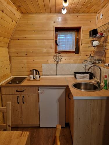 a kitchen with a sink and a counter top at Hedonist Village in Žabljak