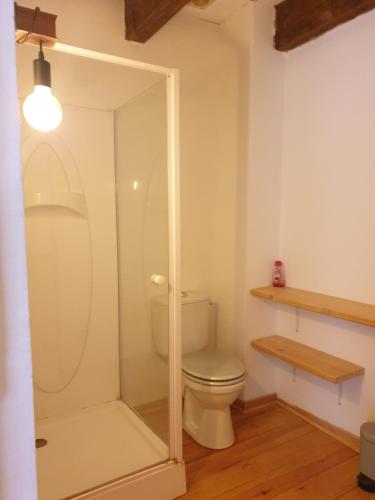 une salle de bain avec toilettes et douche en verre dans l'établissement Gite Les Robiniers, à Beaumont-de-Pertuis