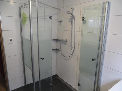 baño con ducha y puerta de cristal en Ferienwohnung Boller I für 5 Personen en Marktredwitz
