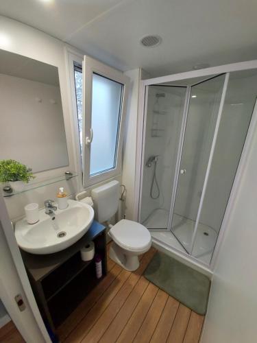 a bathroom with a toilet and a shower and a sink at Philomena Mobile home Camping Pasman in Pašman
